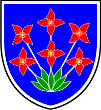 Grb občine Šalovci