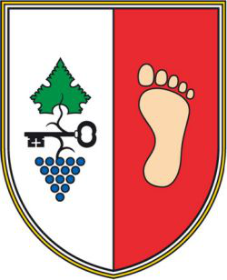 Grb občine Mokronog - Trebelno