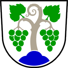 Grb občine Vipava
