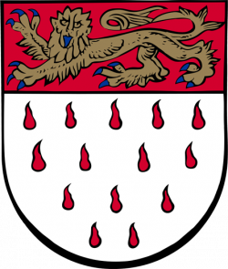 Coat of arms of Chichester